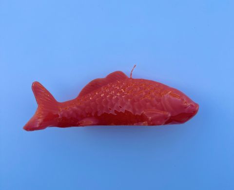 Lackeret fisklys - grapefruit