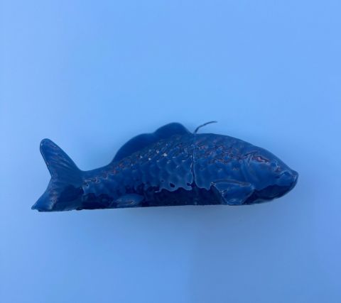 Lackeret fisklys - cornflower