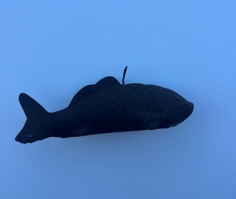 Sammetslackerat fiskljus - black