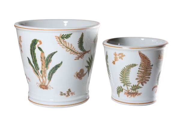 Potte, fås i 2 størrelser - Bregne