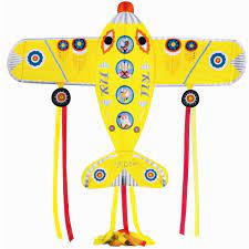 Maxi Plane Drake