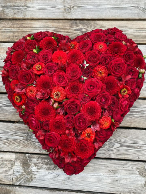 Hjerte begravelse, mellem – rød