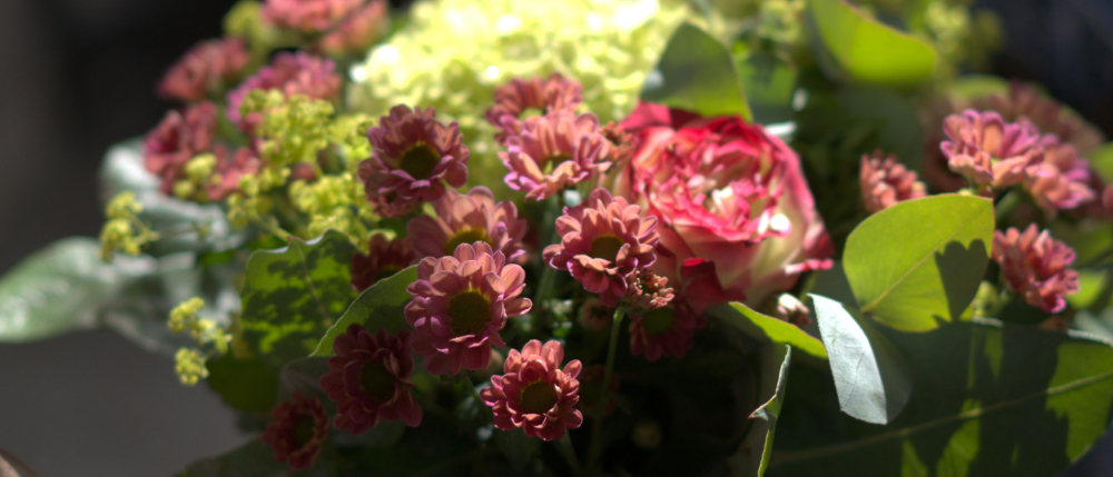 Vackra midsommarblommor i rosa färger