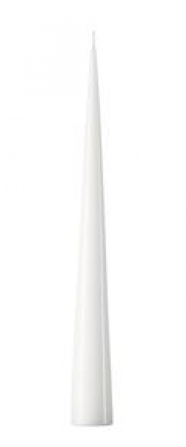 Lakerede keglelys 37 cm - hvide i gruppen Indretning / Dekoration / Lys hos Sommarboden i Höllviken AB (03016-31-0-white)