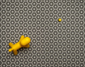 Honey Carpet - Charcol/Vanilla
