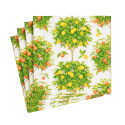 Citrus Topiaries servietter, 20 stk.