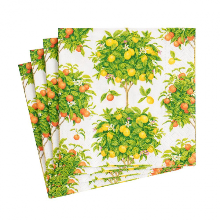Citrus Topiaries servietter, 20 stk. i gruppen Indretning / Køkken & Dækning / Servering & Servietter hos Sommarboden i Höllviken AB (16380C)