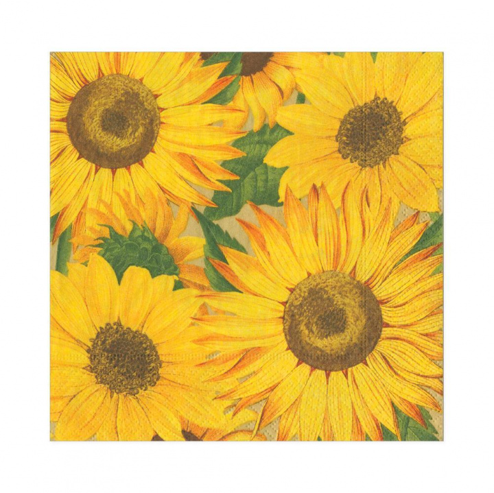 Sunflowers servetter, 20-pack i gruppen Indretning / Køkken & Dækning / Servering & Servietter hos Sommarboden i Höllviken AB (16520L)
