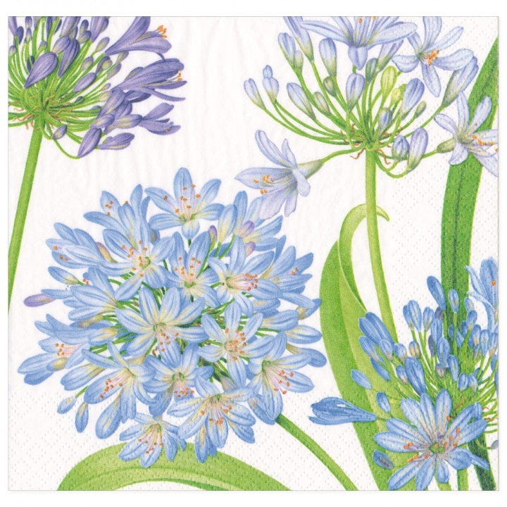 Agapanthus Garden serviet 20-pack i gruppen Indretning / Køkken & Dækning / Servering & Servietter hos Sommarboden i Höllviken AB (16920D)