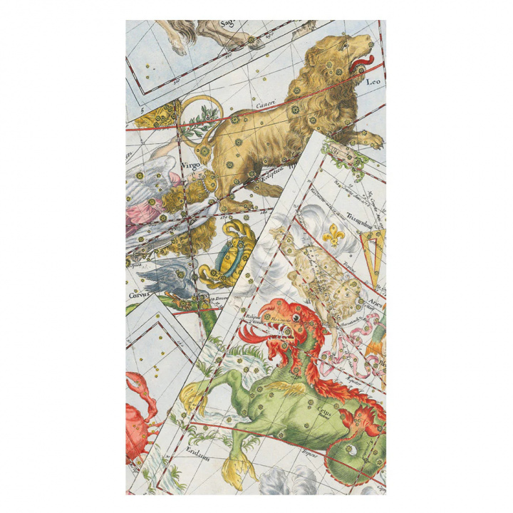 Zodiac servietter, 15-pak i gruppen Indretning / Køkken & Dækning / Servering & Servietter hos Sommarboden i Höllviken AB (18840G)