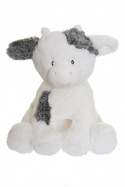 Daisy cutie heads, stor