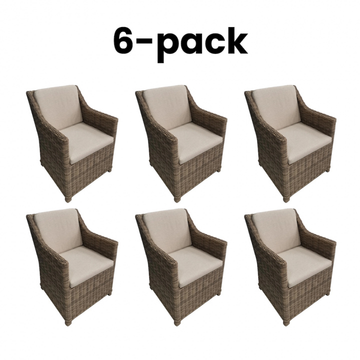 6-pack Long Island spisestol - natur/beige i gruppen Udendørs møbler / Stole & Havestole / Stole med armlæn hos Sommarboden i Höllviken AB (6-PACK-LONG-ISLAND-PAKET)