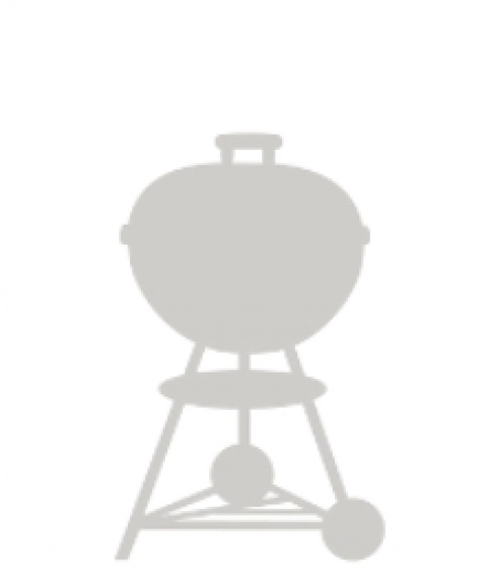 Smagsforstærkerstænger, rustfrit stål - Spirit 210 (2007-2012) i gruppen Grill / Grillredskaber og madlavning hos Sommarboden i Höllviken AB (65902)