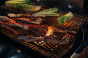 Weber Crafted Sear