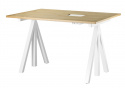 String Desktop Disc 120x78 cm - eg