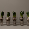Keeper vase, lille - struktur