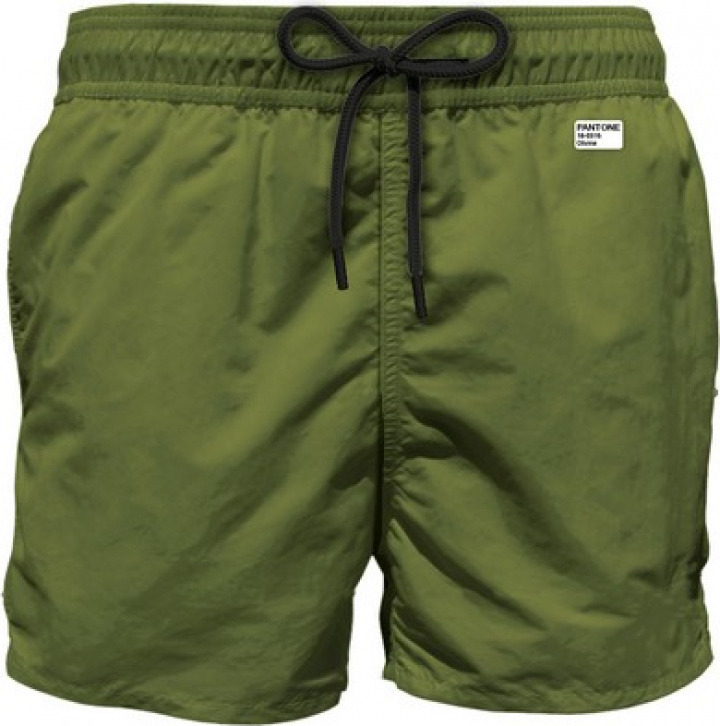 Lighting Pantone badeshorts - Military i gruppen Badetøj / Badeshorts hos Sommarboden i Höllviken AB (LIG0004-00270F)