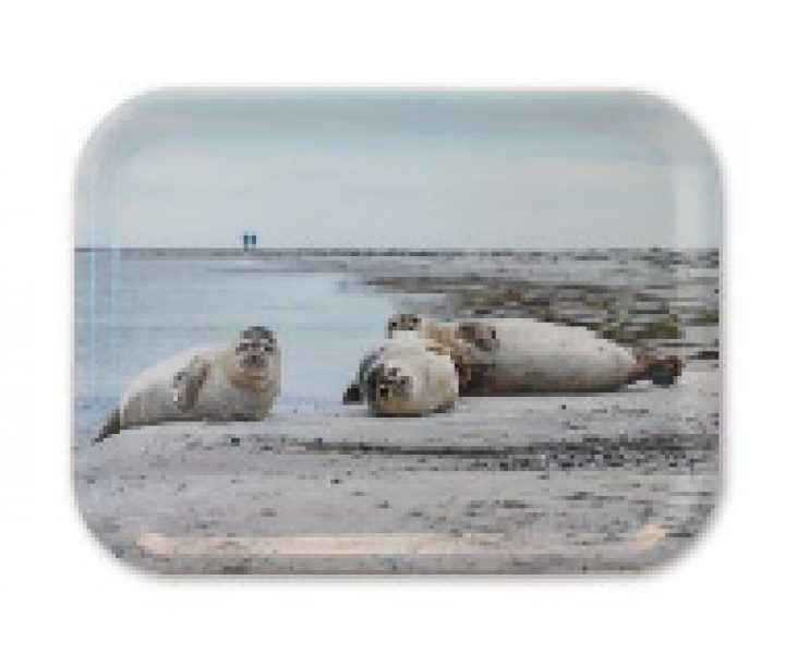 Måkläppens Naturreservat bakke 27 x 20 cm i gruppen Indretning / Køkken & Dækning / Brickor og grydeunderlag hos Sommarboden i Höllviken AB (MELI_02_27x20)