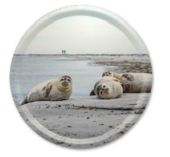 Måkläppens Naturreservatbakke Ø 38 cm i gruppen Indretning / Køkken & Dækning / Brickor og grydeunderlag hos Sommarboden i Höllviken AB (MELI_02_R_38)