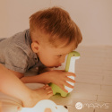 Mary\'s Dinosaur LED Night Lamp