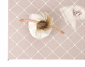 Regina Carpet - Pale Rose/ Vanilla 180x275 cm