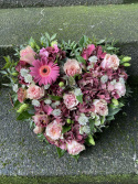 Hjerte begravelse, mellem – rosa