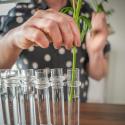 Flower flute glasvas